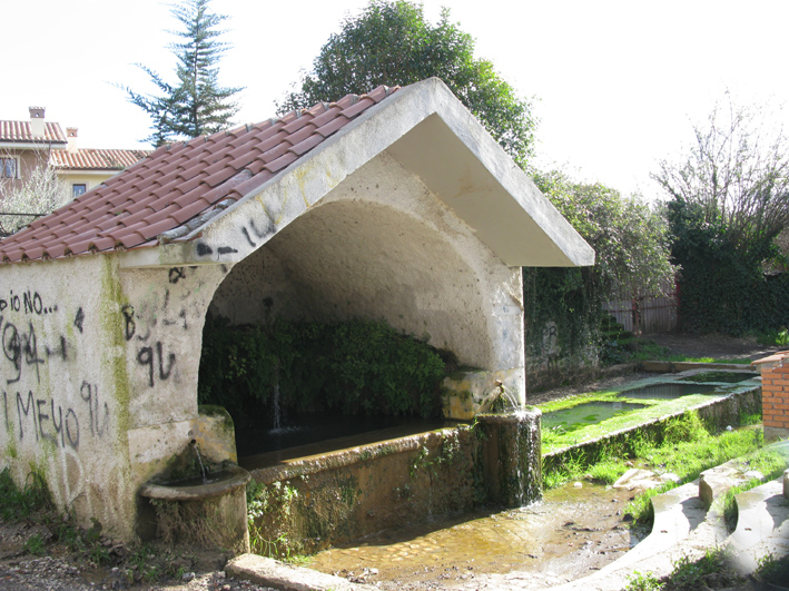 Fontanili del Lazio